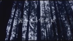 亲爱的阴影