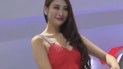 不后悔爱上你