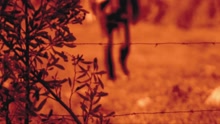 Susan Green - Cerca de Ti (Video Clip)