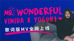 Mr. Wonderful