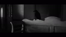 Hubert Félix Thiéfaine - Angelus (Official Music Video)