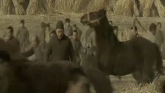 电影<白鹿原>先行版预告片