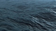The Ocean