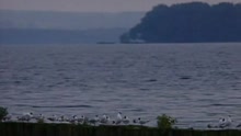 Edward Simoni - Nach Sonnenaufgang (VOD)