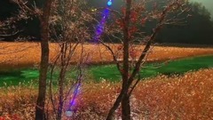 神奇的九寨