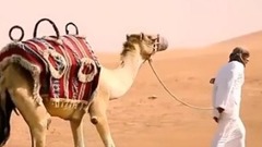 Caravan