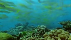 海风中 阳光下