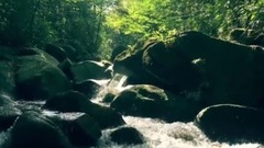 天然泳池