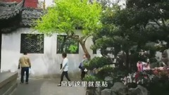 豫园春早