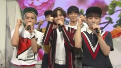 SHINee - Interview