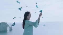 Fly high