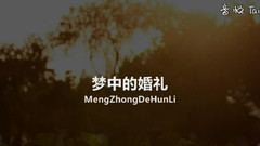 梦中的婚礼