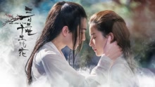 杨洋,刘亦菲 - 刘亦菲杨洋 三生三世十里桃花