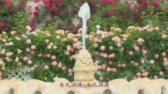 艳阳天