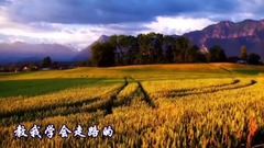 妈妈的手
