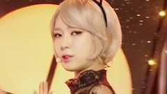 Like A Cat