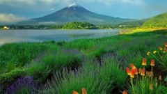 汪峰,齐秦 - 把岁月哼成一首歌 - 朱云龙曲