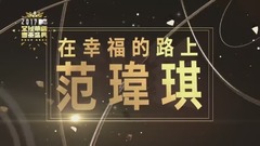 范玮琪 - 最重要的决定