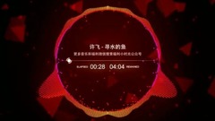 许飞 - 寻水的鱼