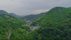 绿色浙江