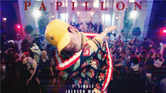 Papillon