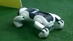 Robot World