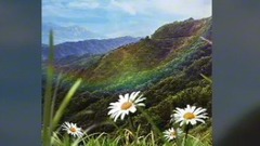 牵丝戏