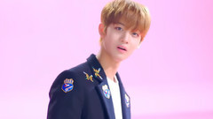 Rolly Teaser