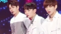 Energetic 尹智圣直拍版 - 17/08/26