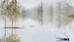 纯音乐 扬帆
