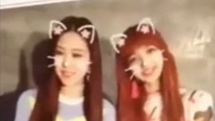 BLACKPINK日本直播