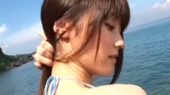 这又何必