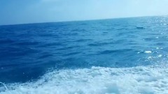 阳光小梦