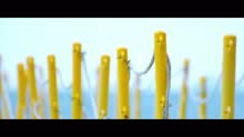 Harris Jayaraj,M.M. Manasi,Sherin Shahana - Damn Damn (From 