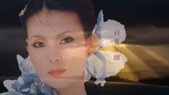 云河大PK