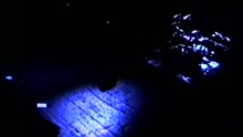 Fight - Little Crazy (Live In Phoenix)