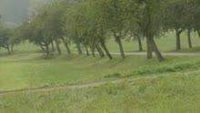 Die Wildecker Herzbuben - Dann traeum' ich mir die Sorgen weg (Official Video) (VOD)