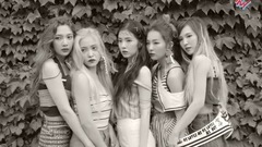 The Red Summer Memories
