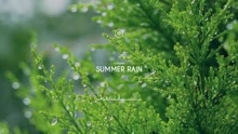 GFriend - Summer Rain 钢琴版