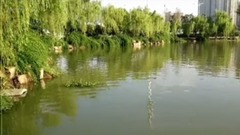 初秋