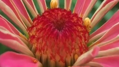 钢琴曲 心语星愿