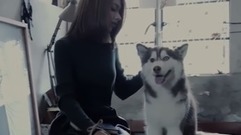 说