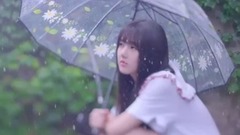 Summer Rain