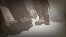 Sennesinger