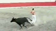 斗牛