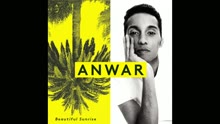 Anwar - I Came to Tell You (audio) (Still/Pseudo Video)