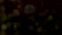 Gigi D'Alessio - Torna a Surriento (Videoclip)