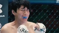 羞羞的铁拳