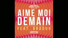 The Shin Sekaï - Aime-moi demain (audio) (Still/Pseudo Video)