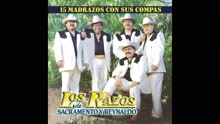 Los Razos - Chingon De Chingones (Cover Audio Video)